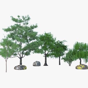 Realistic PBR Tree  Rock Pack  6 Trees  HDRI model