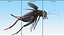 3D Field Cricket Jumping model