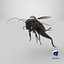 3D Field Cricket Jumping model