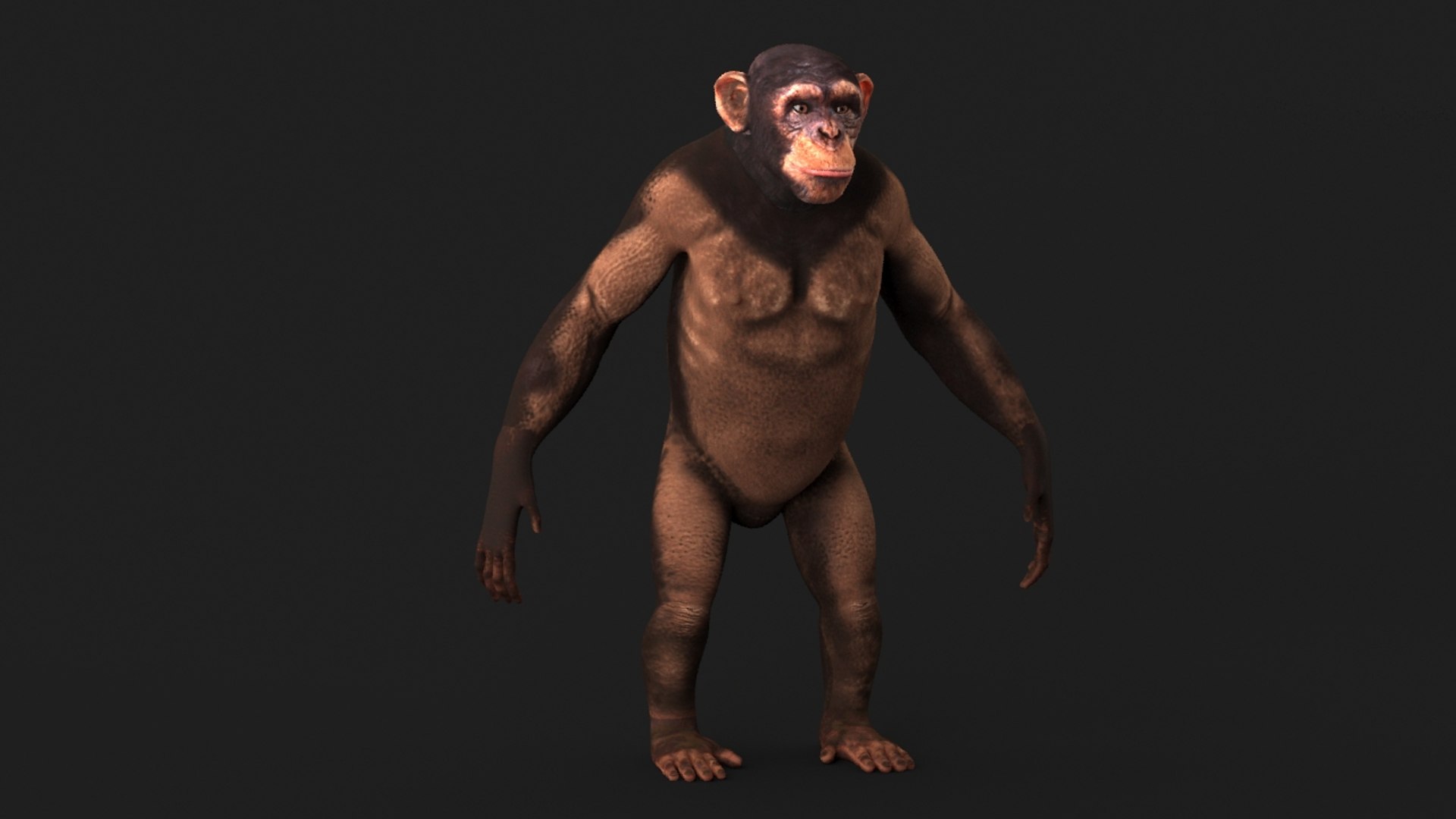 realistic 3d model https://p.turbosquid.com/ts-thumb/dV/HSu1tj/127JqmMD/chimp_0024/jpg/1472407157/1920x1080/fit_q87/8300e51ca9abd1d26c37b016d545adc9556fdf78/chimp_0024.jpg