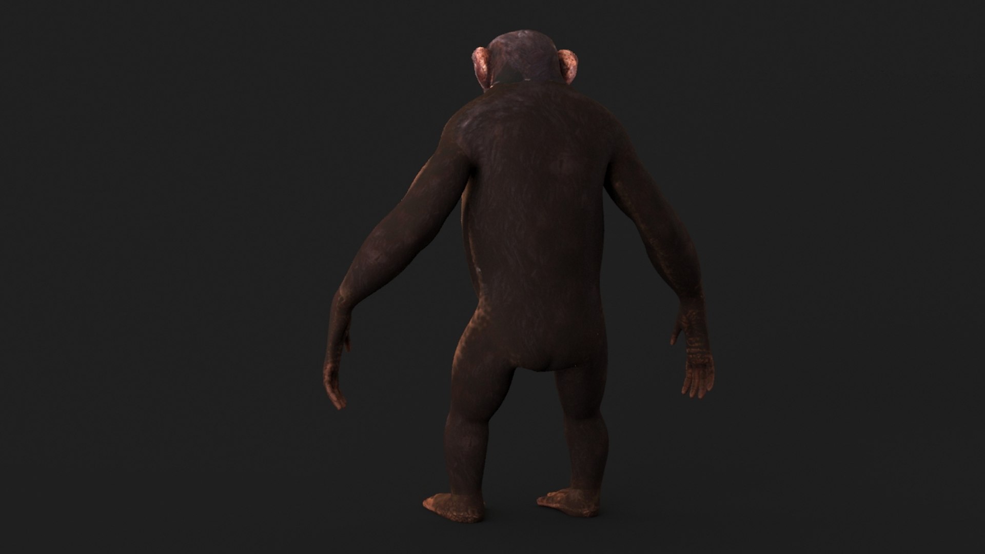 realistic 3d model https://p.turbosquid.com/ts-thumb/dV/HSu1tj/BsgFQk65/chimp_0012/jpg/1472407157/1920x1080/fit_q87/4356d0f9573dbc494a87828eebe4ca98e93156ce/chimp_0012.jpg