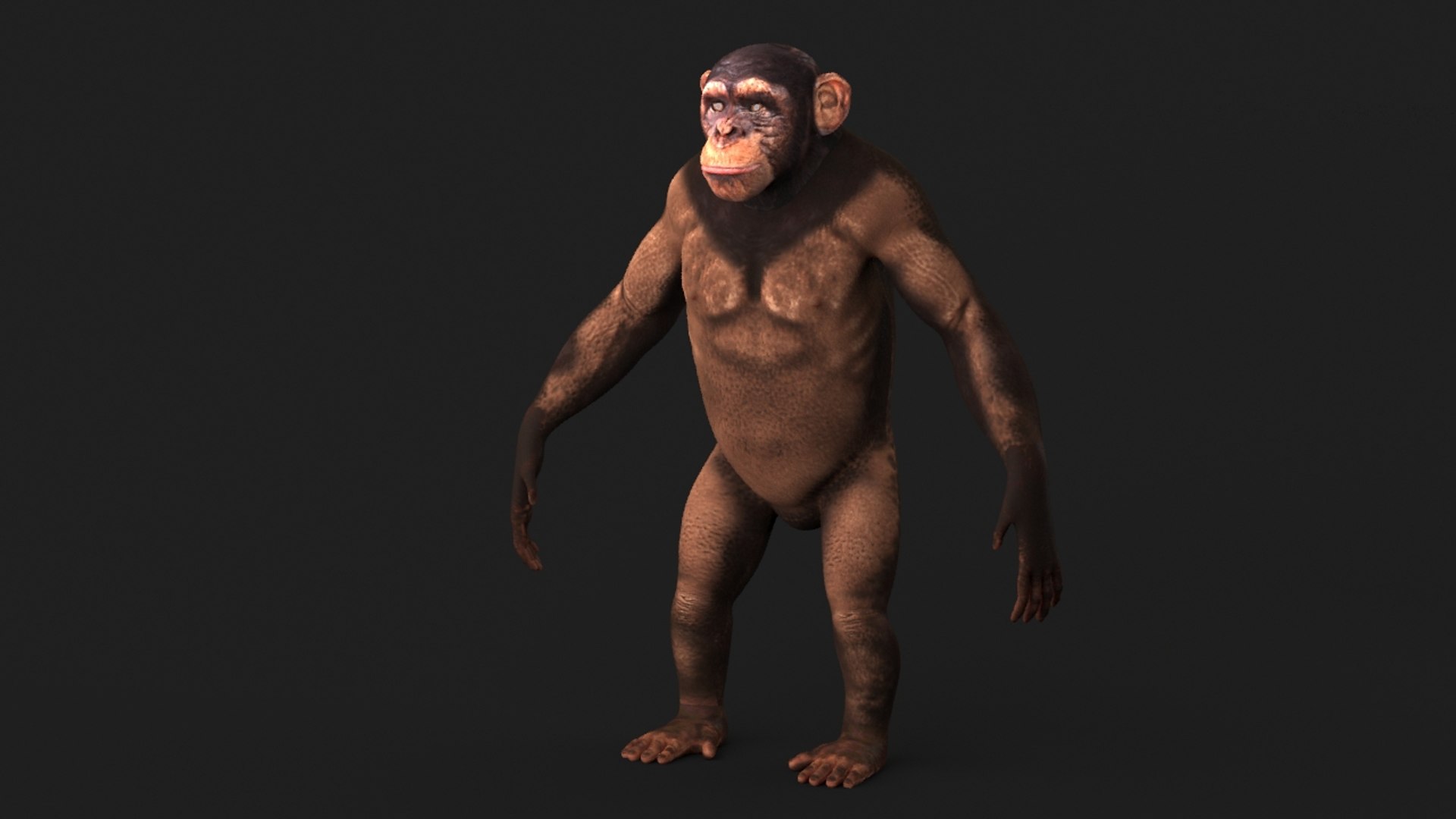 realistic 3d model https://p.turbosquid.com/ts-thumb/dV/HSu1tj/mr1zLee7/chimp_0021/jpg/1472407157/1920x1080/fit_q87/a14dce9d86da3806ff6eb1878c279f75090fceda/chimp_0021.jpg