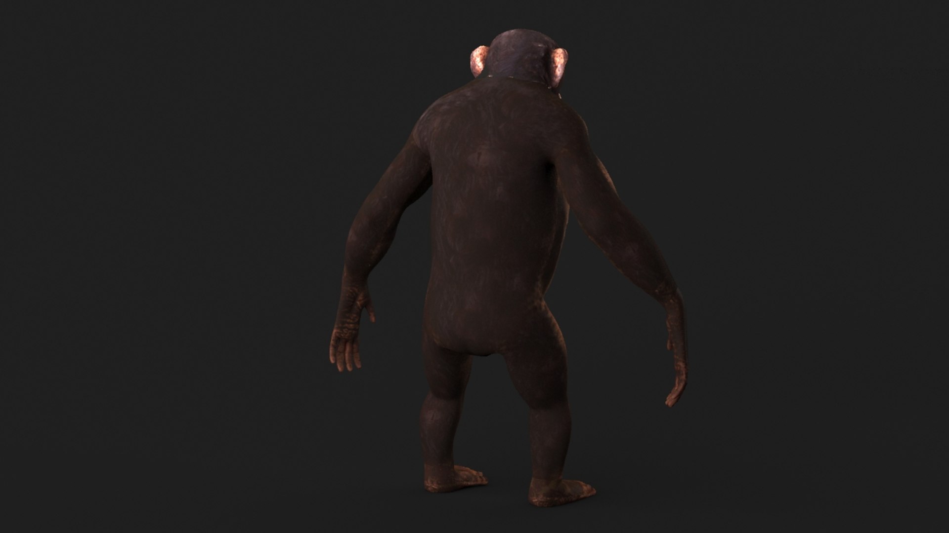 realistic 3d model https://p.turbosquid.com/ts-thumb/dV/HSu1tj/p77LE3Dy/chimp_0009/jpg/1472407157/1920x1080/fit_q87/27d327cce5fdc04869a8e1197d2d51d25b243db1/chimp_0009.jpg