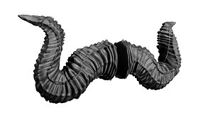Animal Horns