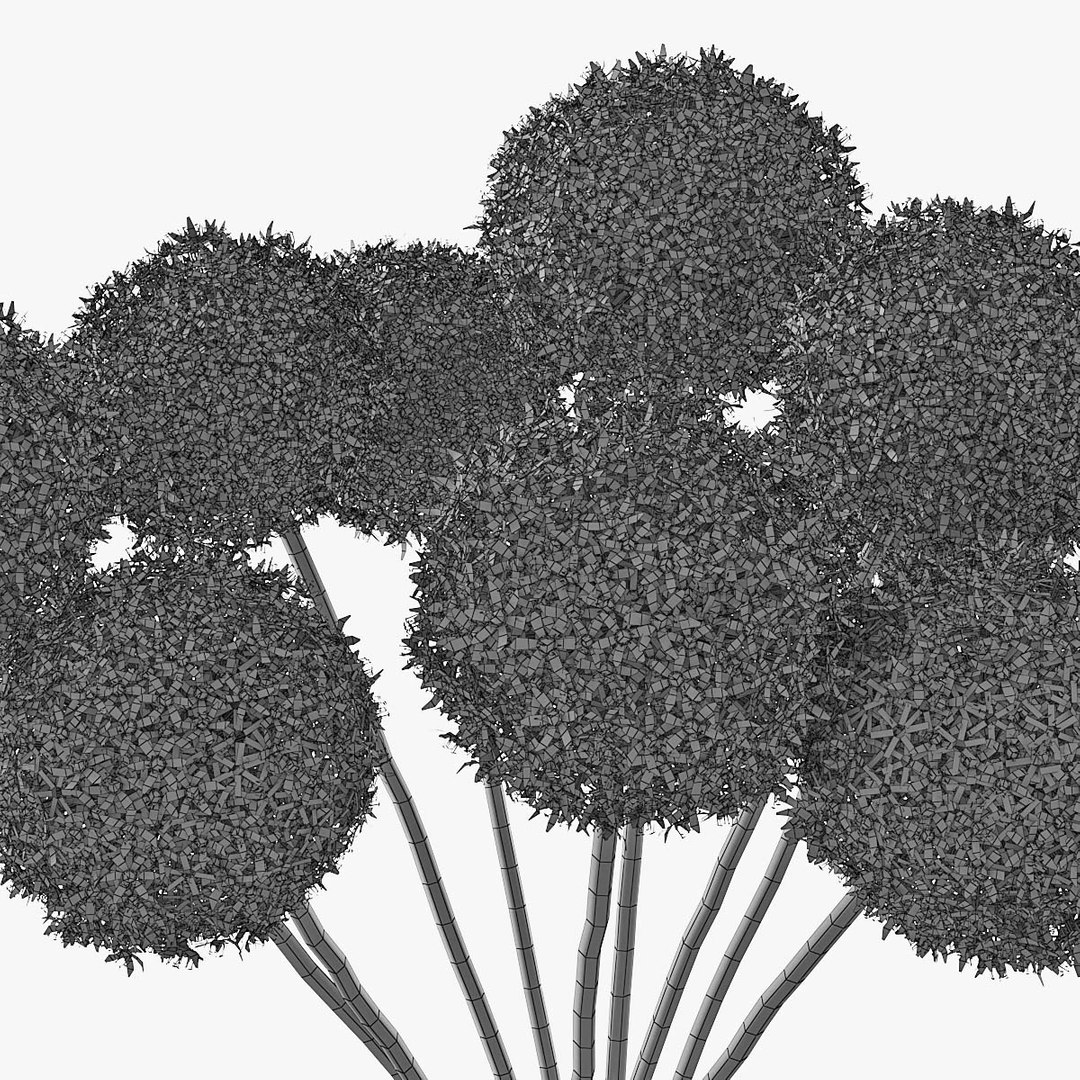 3D allium decorative vase model https://p.turbosquid.com/ts-thumb/dV/IWyjgG/JXDxR5VN/pr_08w/jpg/1594567099/1920x1080/fit_q87/8a8872f9a25bbf699434ec66b187ea9c3894601f/pr_08w.jpg