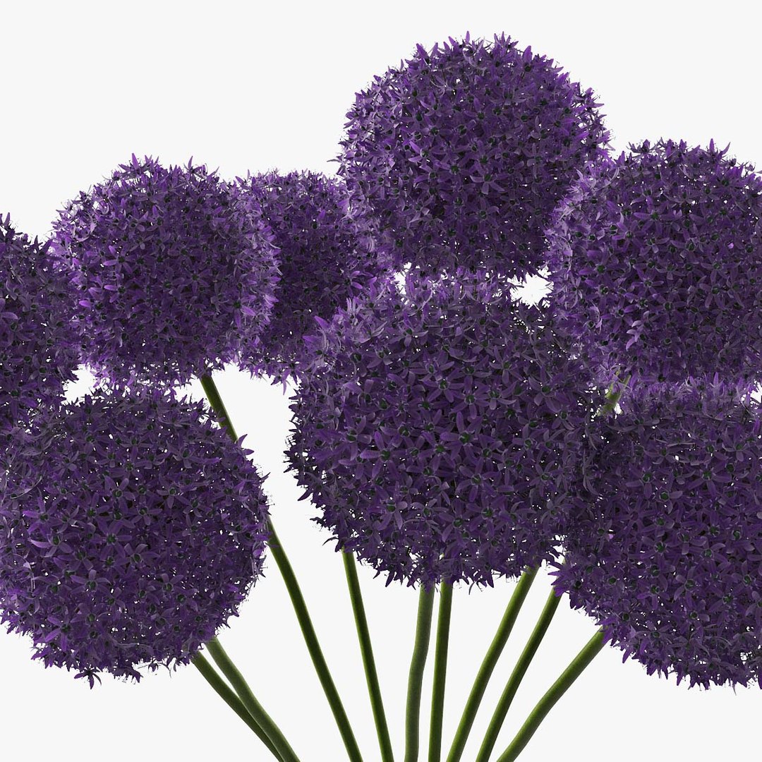 3D allium decorative vase model https://p.turbosquid.com/ts-thumb/dV/IWyjgG/RHwDY9sz/pr_08z/jpg/1594567099/1920x1080/fit_q87/7ea1221b513f2f114c925382dc1e85cdc99da8e5/pr_08z.jpg