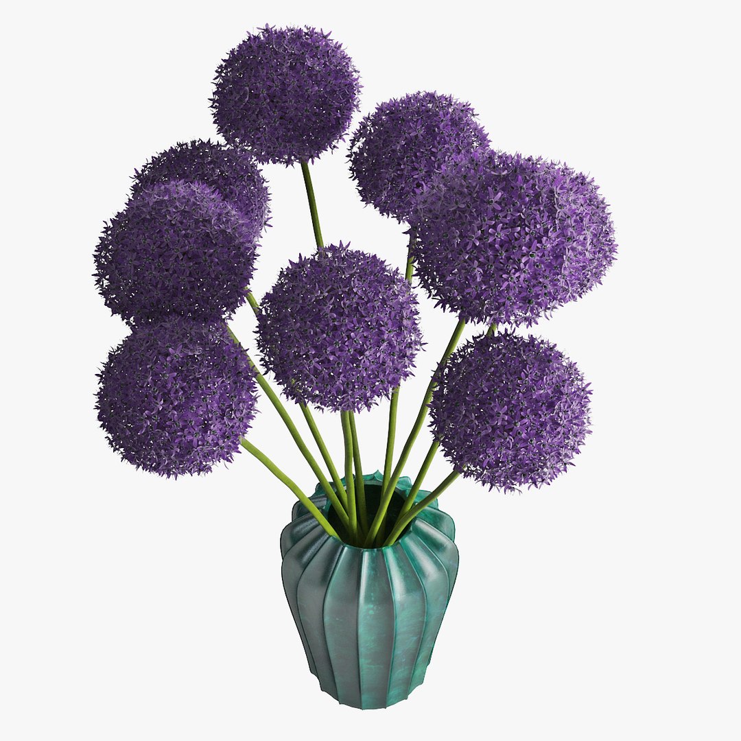 3D allium decorative vase model https://p.turbosquid.com/ts-thumb/dV/IWyjgG/XADPZrbH/pr_05/jpg/1594567098/1920x1080/fit_q87/96a53fd565d232e8a64852713495a385b60a2848/pr_05.jpg