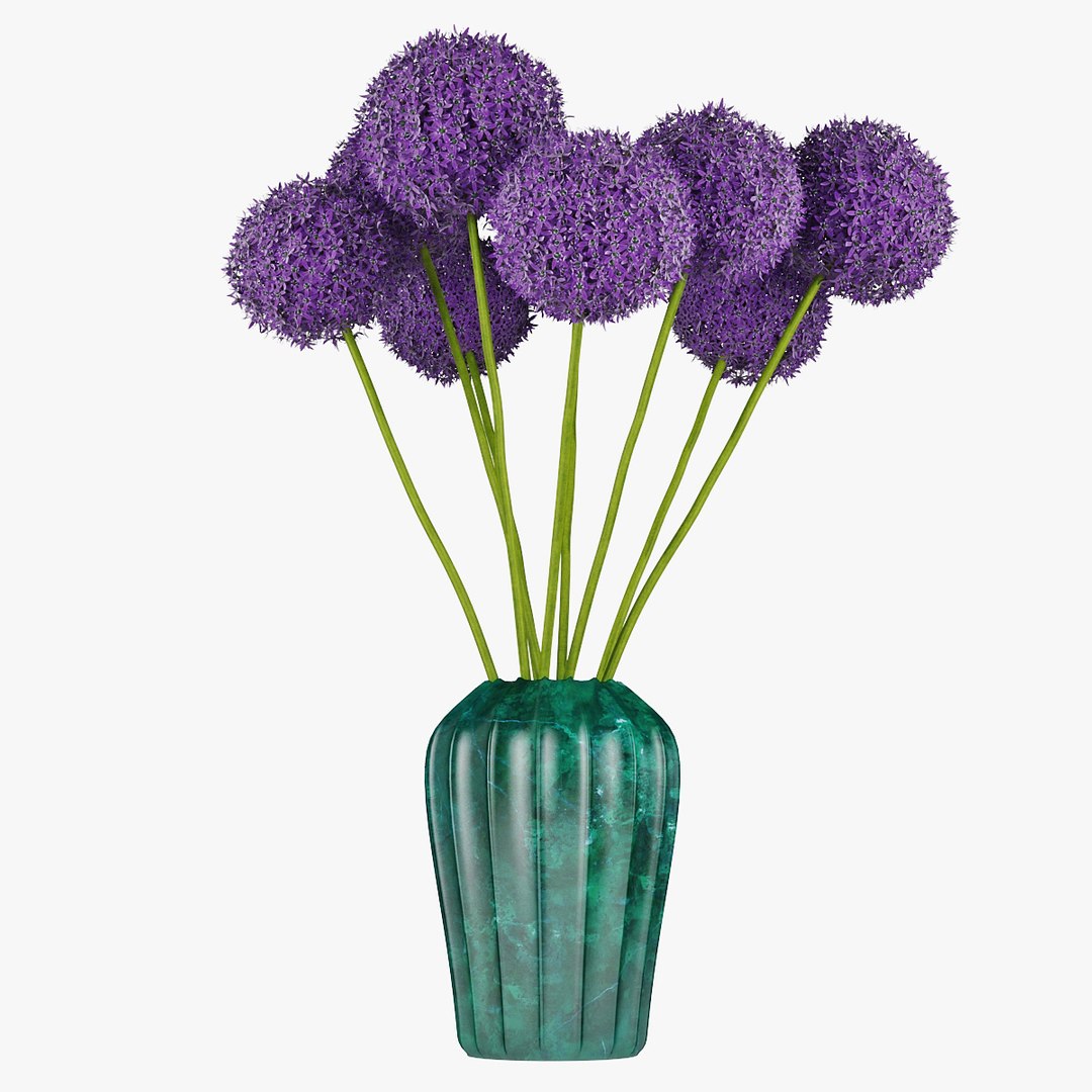 3D allium decorative vase model https://p.turbosquid.com/ts-thumb/dV/IWyjgG/YHv05p9E/pr_06/jpg/1594567099/1920x1080/fit_q87/e123b6e1abbd8f2fc312674ae793d2a55e45ede9/pr_06.jpg