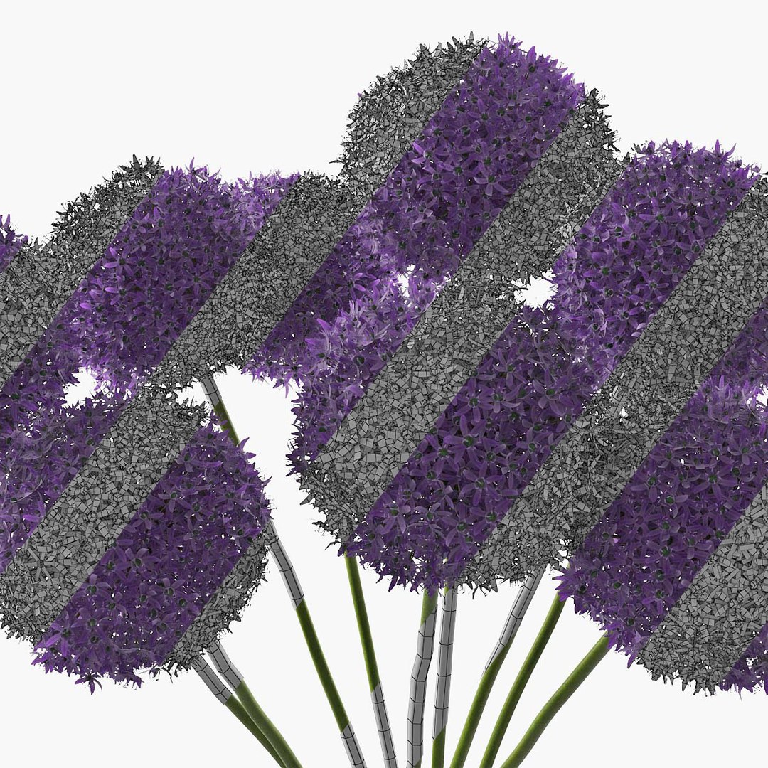 3D allium decorative vase model https://p.turbosquid.com/ts-thumb/dV/IWyjgG/fyFUmItc/pr_10/jpg/1594567099/1920x1080/fit_q87/60c44ffd9daba84935b23ef1631b0dafc0e1f052/pr_10.jpg