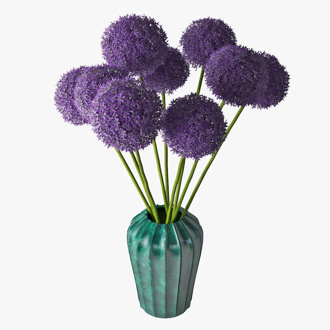 3D allium decorative vase model https://p.turbosquid.com/ts-thumb/dV/IWyjgG/lgHPCxRs/pr_03/jpg/1594567098/1920x1080/fit_q87/1fcb248edfc12166d7c7a2a2e26807854368276e/pr_03.jpg