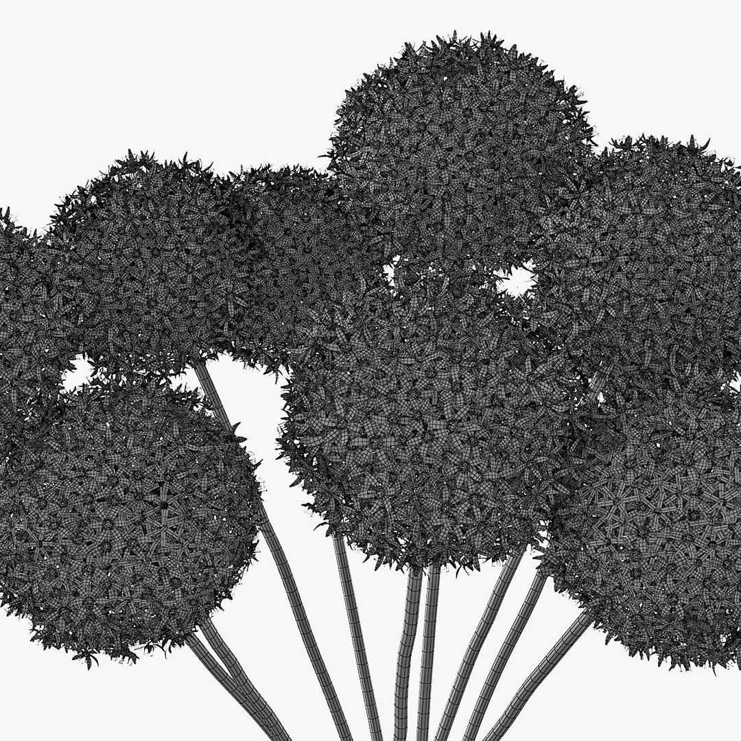 3D allium decorative vase model https://p.turbosquid.com/ts-thumb/dV/IWyjgG/p5H21j0R/pr_08zw/jpg/1594567099/1920x1080/fit_q87/0607d2f230b1a4921ec48040990f386702458d10/pr_08zw.jpg
