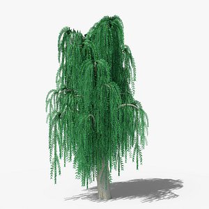 Weeping Willow v8