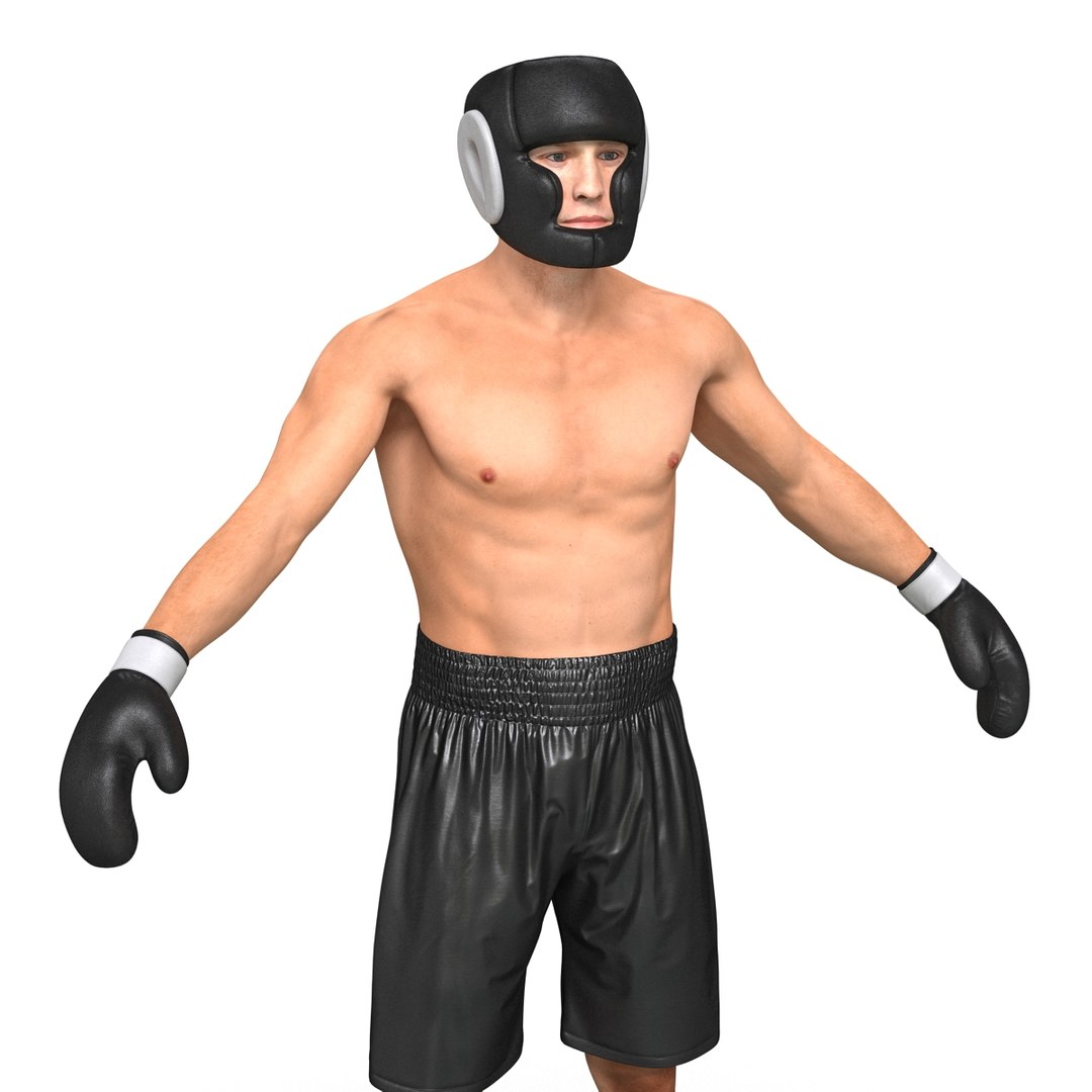 3d adult boxer man