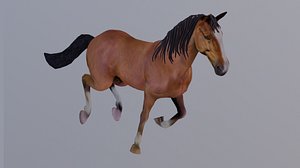 3D 3D Model for an Animated Brown Horse