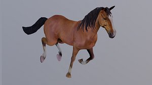Animated Brown Horse1