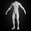 Muscular Human Body