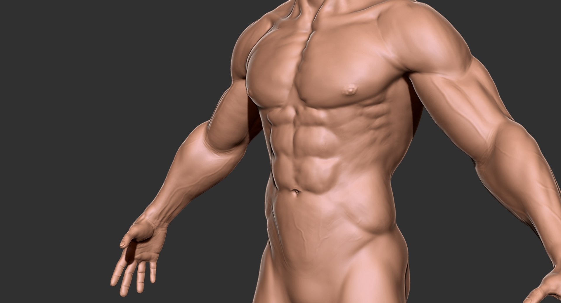 3D human muscular body 2019 https://p.turbosquid.com/ts-thumb/dV/WOzXCD/2B5G6K9o/18/jpg/1566587562/1920x1080/fit_q87/d334c16153609d68a743dca5cb726725575adb0b/18.jpg