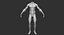 Muscular Human Body