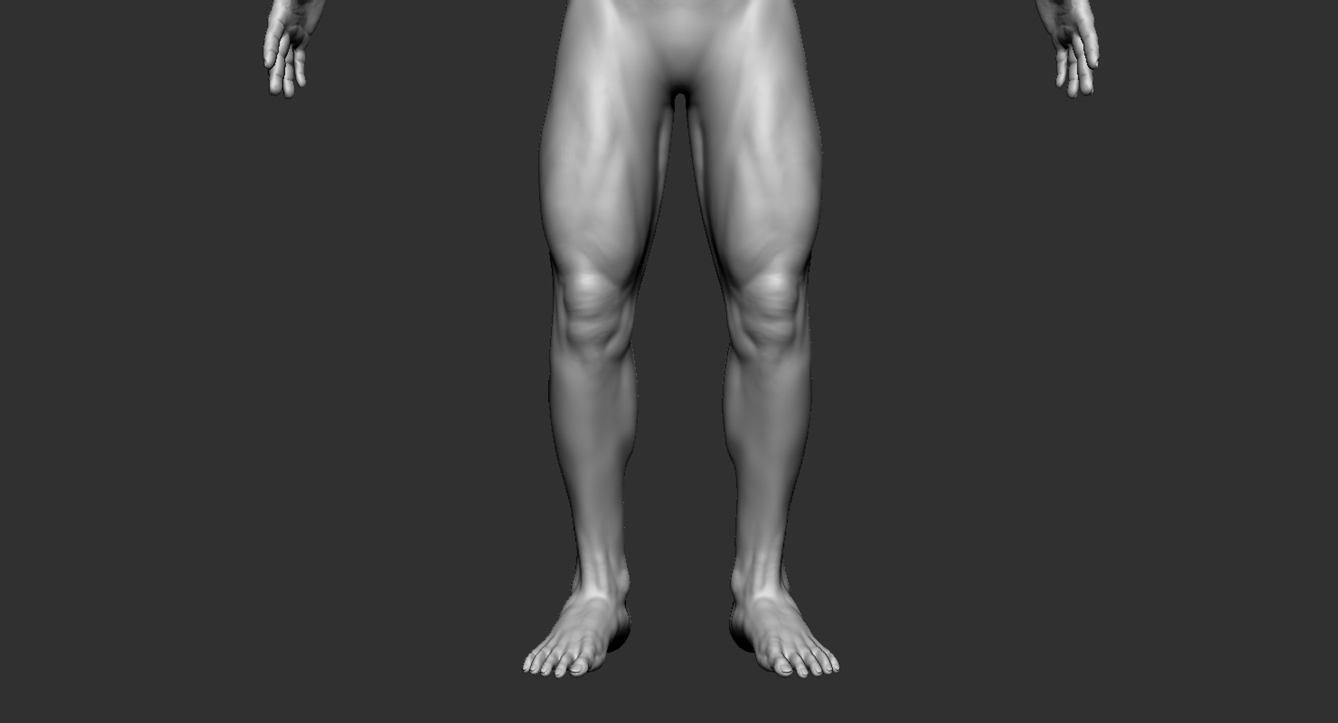 3D human muscular body 2019 https://p.turbosquid.com/ts-thumb/dV/WOzXCD/fMYAYqsQ/11/jpg/1566587562/1920x1080/fit_q87/fae8c79f525a2b99be90a11f3a1e4899864d1259/11.jpg
