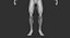 Muscular Human Body