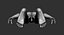 Muscular Human Body