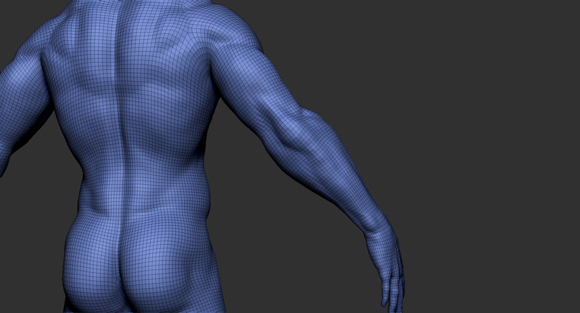 3D human muscular body 2019 https://p.turbosquid.com/ts-thumb/dV/WOzXCD/raEjWzXb/23/jpg/1566587562/1920x1080/fit_q87/784f19dd71db1e4acefcc9b50b02c7ff9f7c08f8/23.jpg