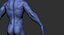 Muscular Human Body