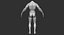 Muscular Human Body