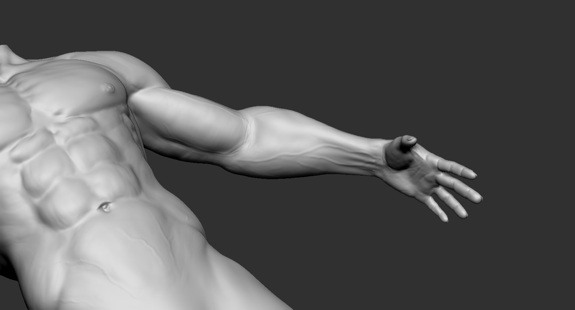 3D human muscular body 2019 https://p.turbosquid.com/ts-thumb/dV/WOzXCD/u1oJhXiS/10/jpg/1566587562/1920x1080/fit_q87/5ccbbf6b86f9ed563e0d35701c3f320437471815/10.jpg