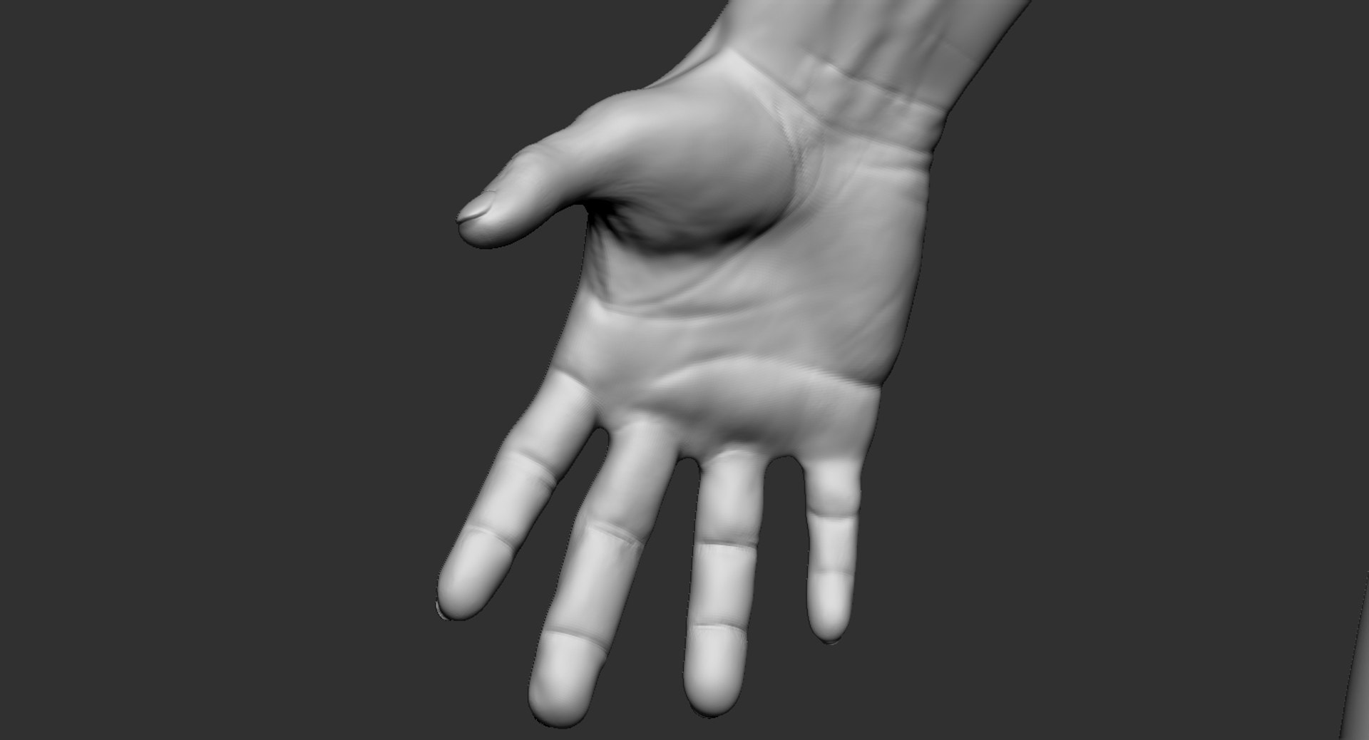 3D human muscular body 2019 https://p.turbosquid.com/ts-thumb/dV/WOzXCD/xlAnH2MY/14/jpg/1566587562/1920x1080/fit_q87/5842e1ca075fdc3ed78cdf2246d1ecca8906a869/14.jpg