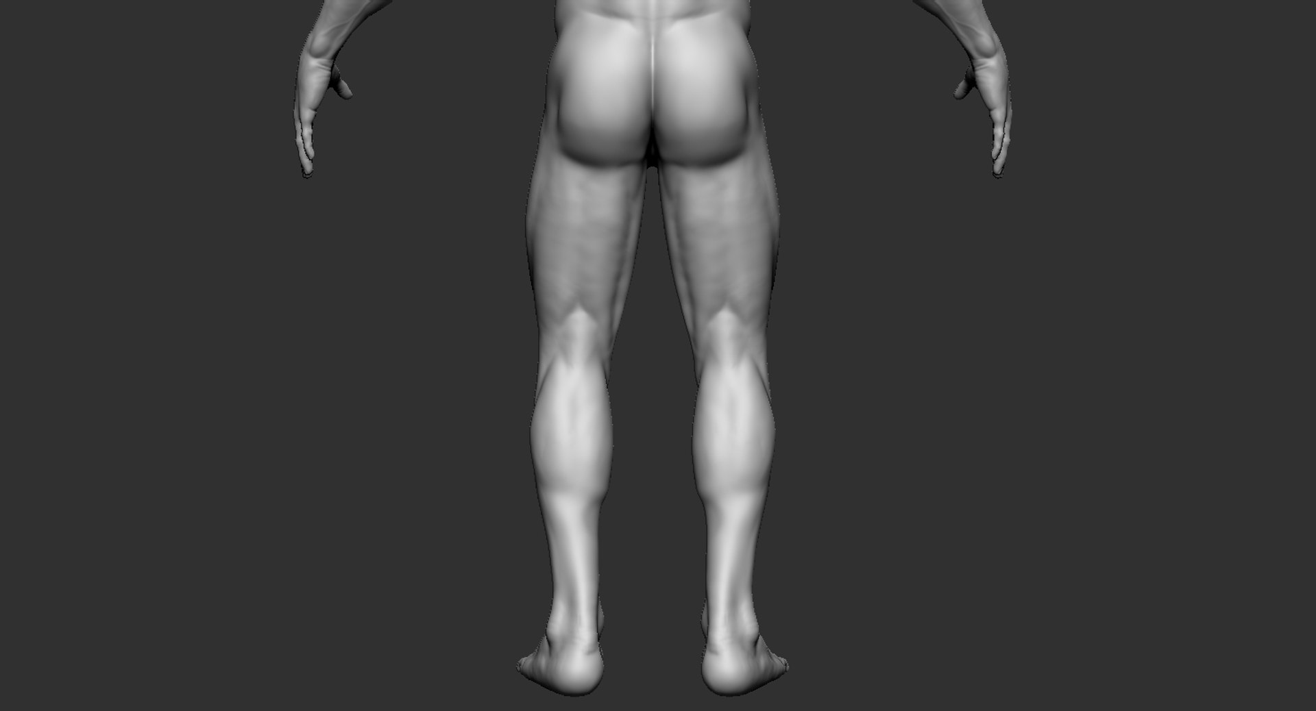 3D human muscular body 2019 https://p.turbosquid.com/ts-thumb/dV/WOzXCD/xtNuohmb/12/jpg/1566587562/1920x1080/fit_q87/ab0f948cf07227daa91d691318a7405335b32532/12.jpg