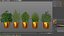 Plants collection 598 3D model