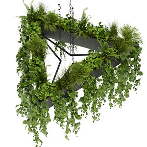 Collection plant vol 381 - pothos - hanging - ampelous - 3dmax - cinema 4d