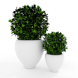 background colors 3D model