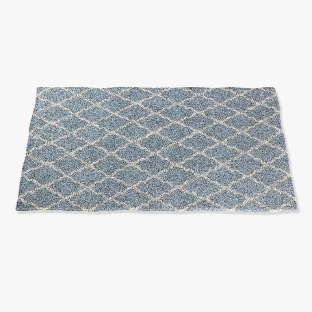 Rizzy Home Rugs Multi-colored 3d Model
