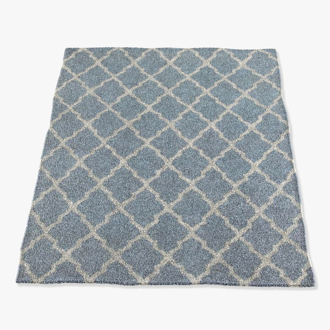 Rizzy Home Rugs Multi-colored 3d Model