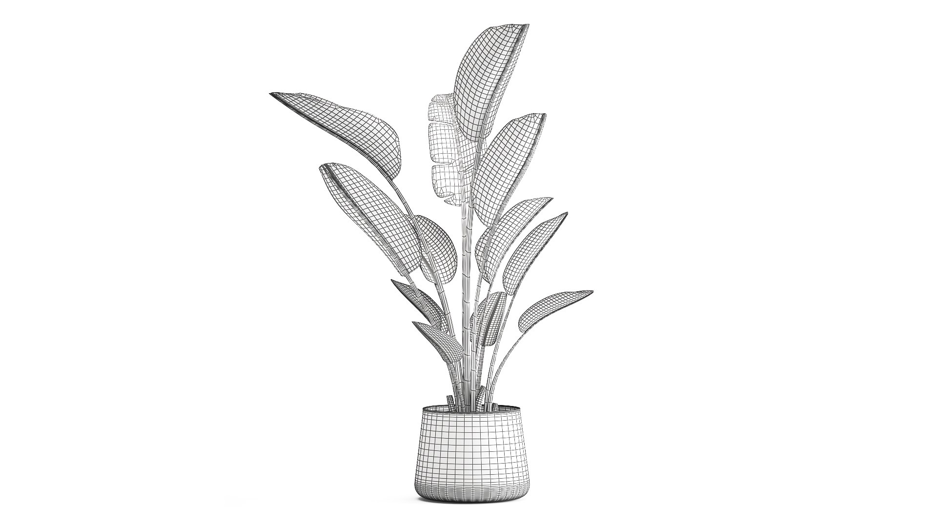 3D model Ravenala palm in a rust pot for the interior 963 https://p.turbosquid.com/ts-thumb/dV/yYAO24/Gm/1banana1005202109/jpg/1620810917/1920x1080/fit_q87/d87491521369c07bc134e83af0244b51e63c336b/1banana1005202109.jpg