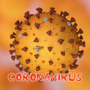 SARS coronavirus 2