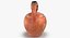5 vasi di terracotta