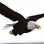 eagles modeled 3d model