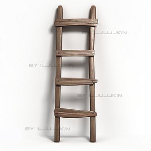 3d old ladder model