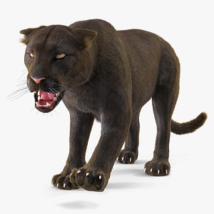 Black Panther Fur Rigged