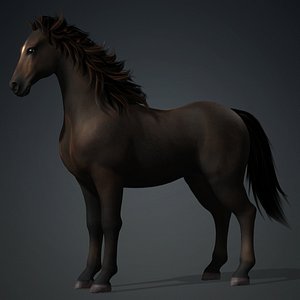 Horse-G2 3D