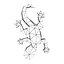 lizard