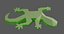 lizard
