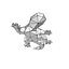 lizard