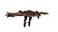 Drachen