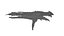Drachen