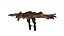 Drachen