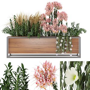 Collection plant vol 27 3D model